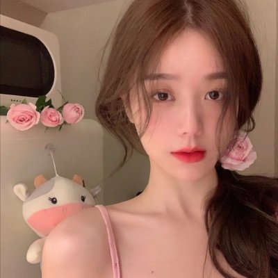 拔作岛THE ANIMATION